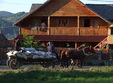 poze tabara de pictura hobby art in maramures