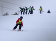 poze tabara de ski i snowboard pentru copii pinguini incepatori