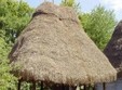 tabara de vara animatie si cercetasi arieseni 