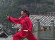 taijiquan stilul wudang 