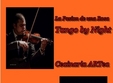 tango by night la pasion de la rosa concert live