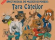 tara cateilor la club a
