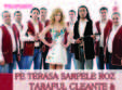 taraful cleante diana matei