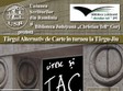 targ alternativ de carte la targu jiu
