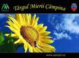 targ apicol campina 2024