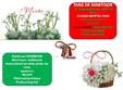 targ de 1 si 8 martie carrefour colloseum bucuresti 27 02 8 03