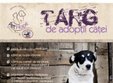 targ de adopti catei