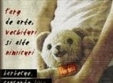 targ de arte vechituri si alte nimicuri la the blu zz