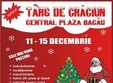 targ de craciun la bacau 2013