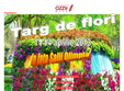 targ de flori