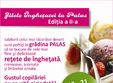 targ de inghetata si concurs de lupte libere