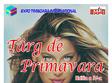 targ de primavara editia iv