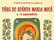 targ de sfanta maria mica