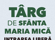 targ de sfanta maria mica