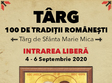 targ de sfanta maria mica