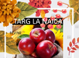 targ la naica
