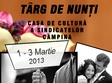 targ nunta 2013 campina