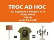 targ troc ad hoc timisoara