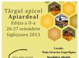 targul apicol apiardeal la sighisoara