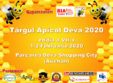 targul apicol deva 2020