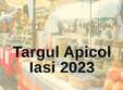 targul apicol iasi 2023