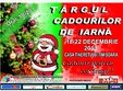 targul cadourilor de iarna la casa tineretului timisoara