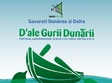 targul d ale gurii dunarii la muzeul taranului roman