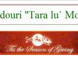 targul de cadouri tara lui mos craciun