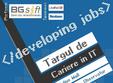 targul de cariere in it