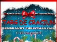 targul de craciun rembrandt christmas fair