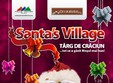 targul de craciun santa s village