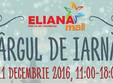 targul de iarna la eliana mall