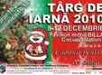 targul de iarna timisoara
