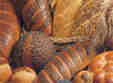 targul de produse traditionale 2011 la romexpo