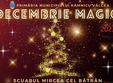 targul decembrie magic 2023