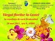 targul florilor la castel 