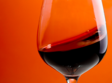 targul international de vinuri good wine la world trade plaza