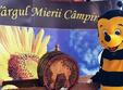 targul mierii campina 2024