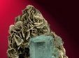 targul mosilor de iarna la muzeul de geologie