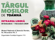 targul mosilor de toamna