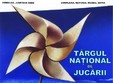  targul national de jucarii la sibiu 