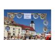 targul olarilor 2014 la sibiu