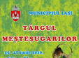 targului mestesugarilor 2010