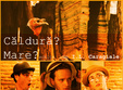teatru caldura mare dupa i l caragiale