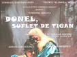 teatru donel suflet de tigan la teatrul al davila
