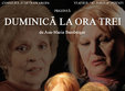 teatru duminica la ora trei three o clock la teatrul al davila