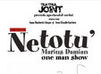 teatru netotu 