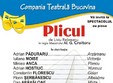 teatru plicul