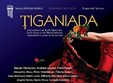 teatru tiganiada 