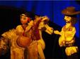 teatru zurinka timisoara